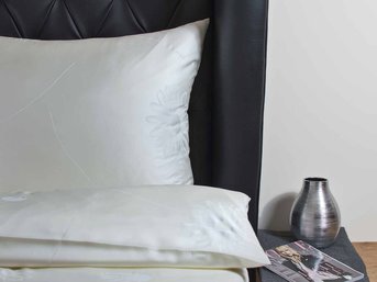 Изображение товара "Coneflower  JOHANN HEFEL наволочка  SEACELL AKTIVE от Archive"