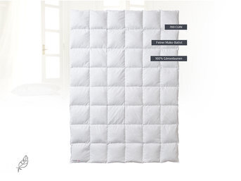 Изображение товара "Одеяло пуховое Kauffmann Labrador от Archive"