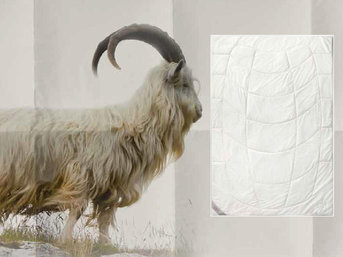 Изображение товара "CASHMERE одеяло кашемировое Kauffmann от Kauffmann"