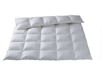 Изображение товара "Одеяло Christian Fischbacher Гагачий пух -Quilt Royal-BATIST  от Christian Fischbacher"