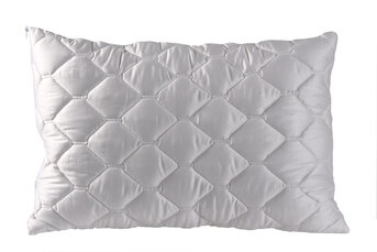 Изображение товара "Подушка "BERNE" Christian Fischbacher  от Christian Fischbacher"