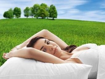 Изображение товара "Подушка JOHANN HEFEL  Vital Silver Power от Archive"