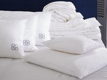 Изображение товара "SILK AND POLYESTER подушка с шелком GINGERLILY (шелк и полиэстер) от GINGERLILY"