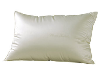 Изображение товара "Подушка LUXURY - "Interlaken" -SILK Christian Fischbacher  от Christian Fischbacher"