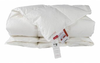 Изображение товара "TRUE LEGEND одеяло пуховое Kauffmann (CUIN 650) от Kauffmann"