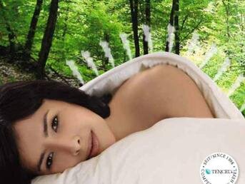 Изображение товара "Одеяло эвкалиптовое JOHANN HEFEL KlimaControl Comfort с тенселем от Johann Hefel"