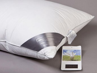 Изображение товара "SILVER JOHANN HEFEL пуховая подушка  от Johann Hefel"